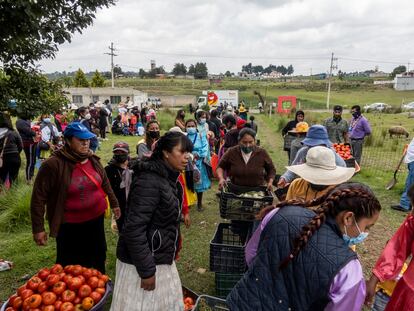 Banco de Alimentos de Mexico