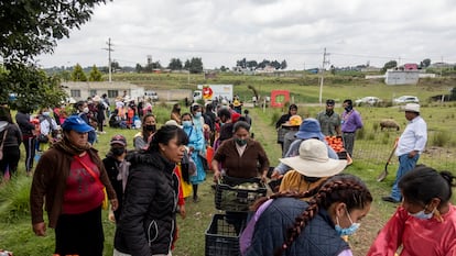 El Banco de Alimentos de México, una organización que suministra alimentos básicos a comunidades vulnerables en más de 20 Estados del país, dona comida en El Quelite, Estado de México, el pasado 27 de junio de 2022.