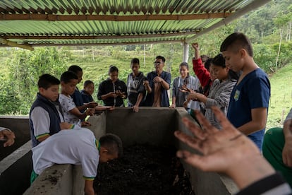 La clase de Educación Medioambiental que hoy imparte Miyer, alrededor de tres bañeras de cemento donde se asienta la tierra, los gusanos y las hojas secas, respectivamente, trata sobre los pasos necesarios para producir abono orgánico. “Si estamos de visita en casa de nuestra tía, por ejemplo, con nuestros hermanos. ¿Qué pasaría si no nos dan de comer o le dan más alimento a mi hermano que a mí; ¿o no me dan las cobijas -mantas- para dormir?”, pregunta el docente a sus alumnos, que alrededor de las instalaciones para el lombricultivo escuchan atentos.  