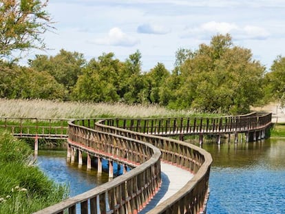 Pasarela de madera elevada sobre el agua para recorrer a pie el parque.