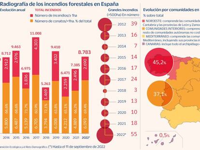 Incendios, un lastre más para la economía y el cambio climático