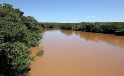 Imagem da água escurecida do Rio São Francisco, durante expedição realizada pela ONG.