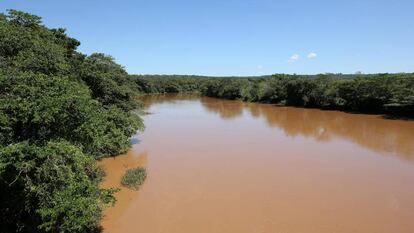 Imagem da água escurecida do Rio São Francisco, durante expedição realizada pela ONG.