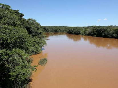 Imagem da água escurecida do Rio São Francisco, durante expedição realizada pela ONG.