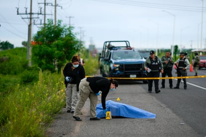 Peritos trabajan en el lugar donde se encontró un cuerpo al costado de la Carretera México 15, en Culiacán, Sinaloa, el sábado 21 de septiembre de 2024.