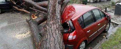 Dos vehículos, aplastados por la caída de un arbol de gran tamaño debido al viento que azota el litoral cantábrico, entre otras zonas del país.