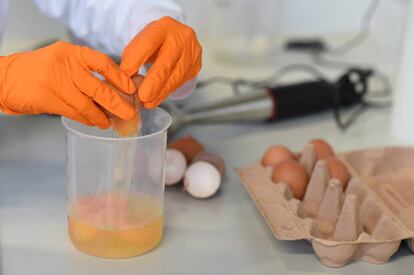 Pruebas en un laboratorio alemán sobre los huevos contaminados