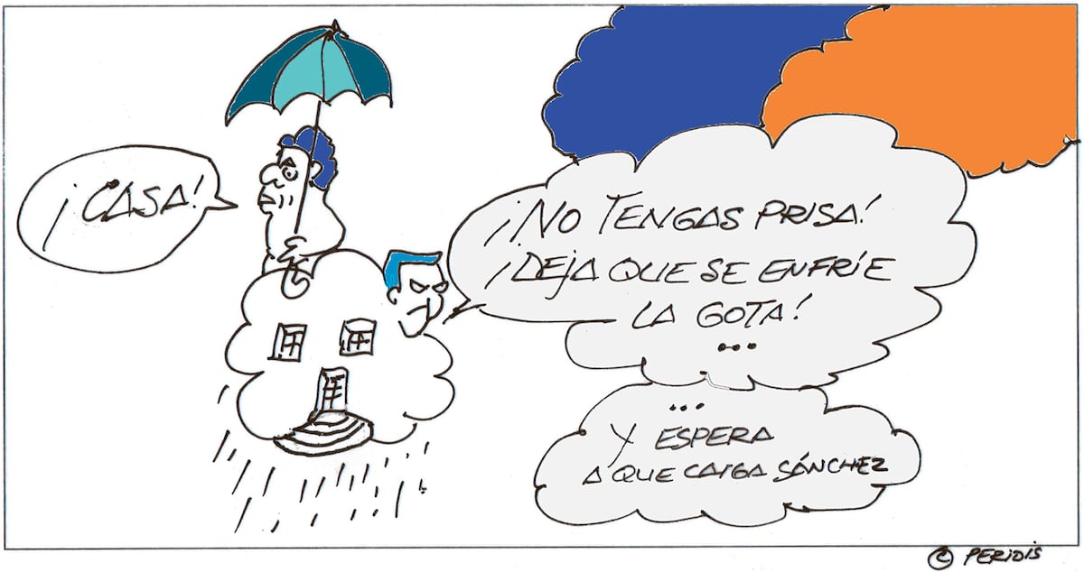 Peridis: no tengas prisa, Mazón