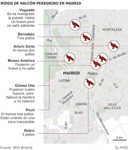 Fuente: SEO BirdLife