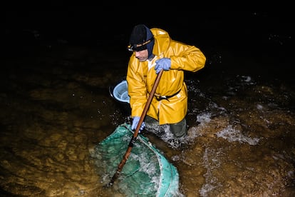 Guillén Guardiola pesca con el cedazo en la orilla del río, en la playa de Colunga, Asturias. 