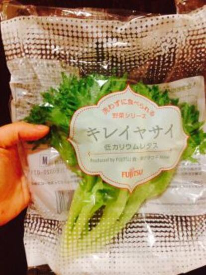 Bolsa de lechuga cultivada por Fujitsu.