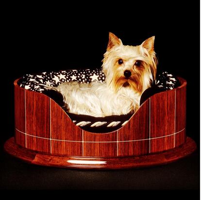 Cama para perros diseñada por Frank Pollaro: las siestas caninas más elegantes.