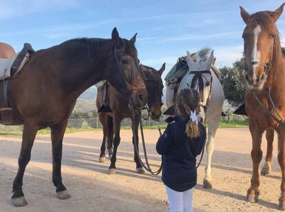 Caballos en el hotel El Añadío, cerca de Vilches (Jaén).