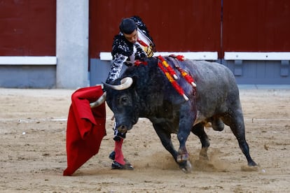 Feria de San Isidro