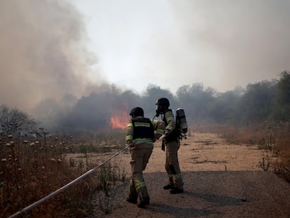 Bomberos israelíes apagan un incendio en Dishon, en el norte del país, después de que se interceptara un objetivo aéreo que cruzó desde el Líbano, este martes.