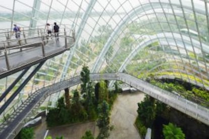 Pasarela elevada en el Cloud Forest, gigantesco invernadero que incluye la cascada interior más alta del mundo, de 35 metros, en Singapur.