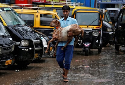 Un hombre carga con una cabra después de comprarla en un mercado de ganado la víspera de la fiesta musulmana de Eid-al-Adha, en Mumbai (India).