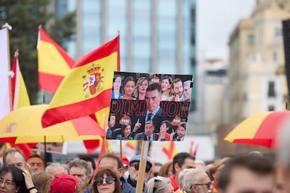 Poster against the Executive, this Saturday, in the demonstration in Columbus in Madrid.