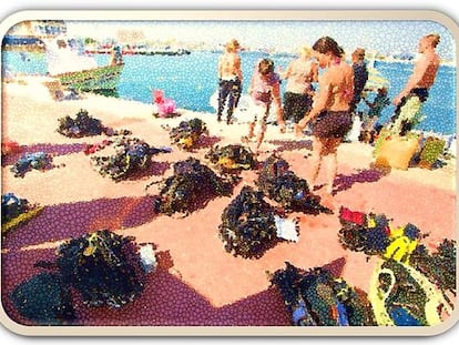 Viaje al fondo del Mar (II)
