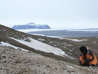Um paleontólogo no sítio da rã na Ilha Seymour, no norte da península antártica.