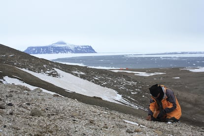 Um paleontólogo no sítio da rã na Ilha Seymour, no norte da península antártica.