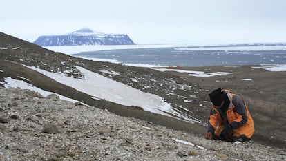 Um paleontólogo no sítio da rã na Ilha Seymour, no norte da península antártica.