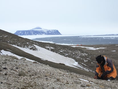 Un paleontólogo en el sitio de la rana en la isla Seymour, en el norte de la Península Antártica.