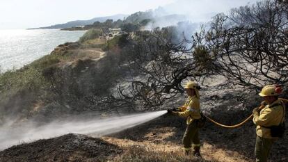 Efectivos del Infoca en el incendio de la playa de Los Lances, en Tarifa.