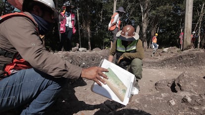 Tren Maya arqueólogos