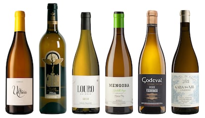 Vinos blancos de godello