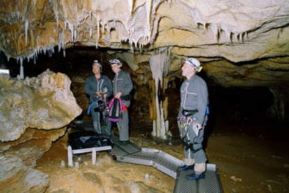 Imagen del documental <i>Cave of Forgotten Dreams,</i> de Werner Herzog, sobre la cueva de Chauvet-Pont-d'Arc.