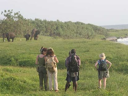 El grupo viajero en el parque de Loango, mientras observan a una manada de elefantes de selva junto al mar.