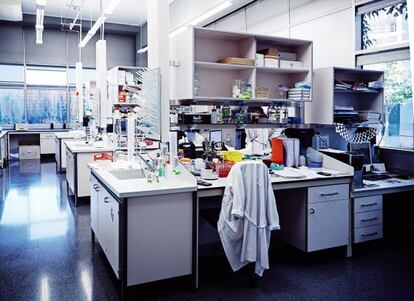 Laboratorio de Biópolis en la sede valenciana de la compañía, donde los científicos trabajan con microorganismos para desarrollar investigaciones biotecnológicas.