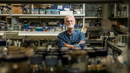 Ricardo Amils, microbiólogo del Centro de Astrobiología y la Universidad Autónoma de Madrid.