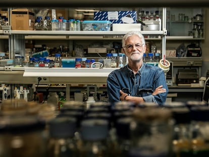 Ricardo Amils, microbiólogo del Centro de Astrobiología y la Universidad Autónoma de Madrid.