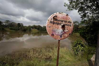 Un señalamiento alerta de la presencia de hipopótamos en la orilla de una laguna cerca de Doradal, Colombia.