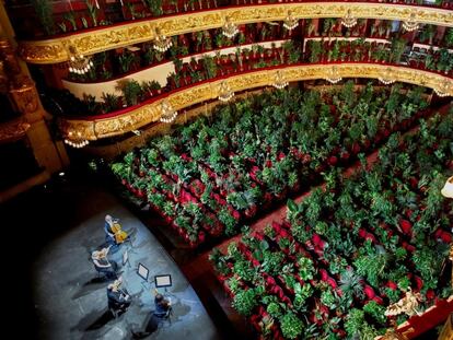 A concert for nearly 2,300 plants at Barcelona's opera house.