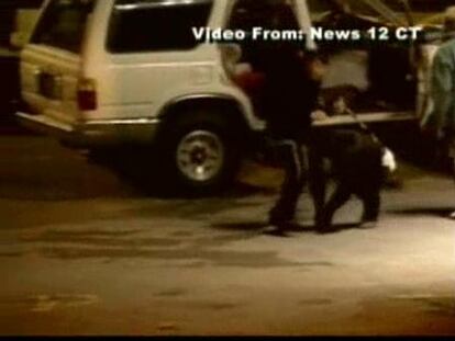 Abatido a tiros un chimpancé domesticado en EEUU