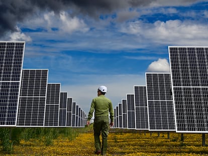 Una planta fotovoltaica de Iberdrola.