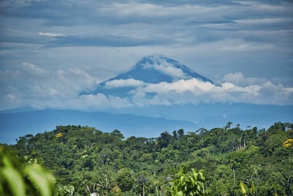 Pico del volcán Sumaco entre nubes y rodeado de bosque tropical.