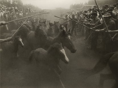 "En mis inicios era fotógrafo de fin de semana y a diario trabajaba en una empresa americana de aparatos de compresión", recuerda Sanz Lobato. "No trabajaba los sábados y a primera hora cogía mi coche, mi dos [cámaras] Nikon compradas a plazos y elegía un sitio del mapa: los caballos de Galicia [en la imagen], los toros de la Vega... y ahí empezó mi documentalismo antropológico. Era el 72, el año en el que compré el coche. Un fin de semana hacía las fotos y otro las revelaba. Fueron 15 o 16 años frenéticos. Disfrutando muchísimo y trabajando más".