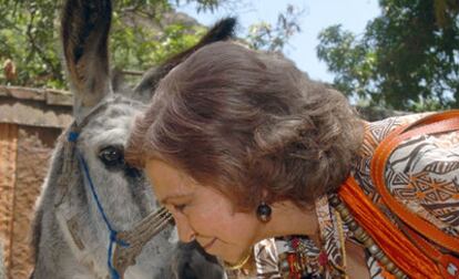 La reina Sofía se acerca a un burro en Cabo Verde donde completó hoy el viaje de cooperación que inició el pasado domingo en Senegal.