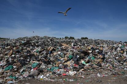 Basural a cielo abierto en la provincia de Buenos Aires.