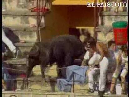 Un toro invade las gradas en la plaza de toros de Tafalla