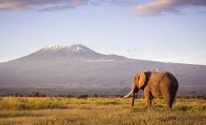 Perfil del monte Kilimanjaro, en Tanzania.