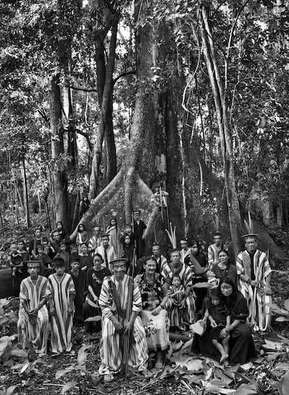 La familia de Antonio Piyáko (en el centro) y su esposa, Francisca. Tierra indígena kampa del río Amônia, 2016.