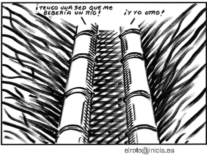 EL ROTO