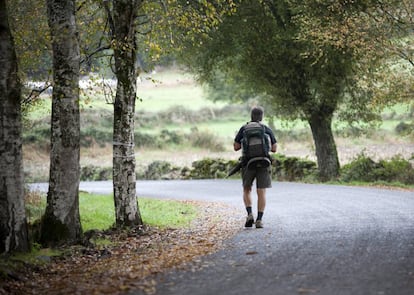 A walker on the Camino de Santiago route between Rente and Brea.