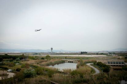 Un avió s'enlaira des del Prat i sobrevola una zona humida habitada per flamencs.