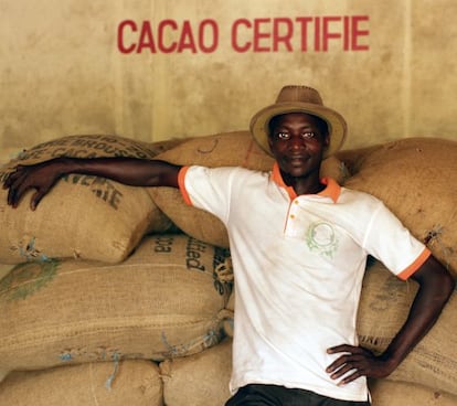 Producción de cacao en Petit Bonduku, en el área de Subré (Costa de Marfil).